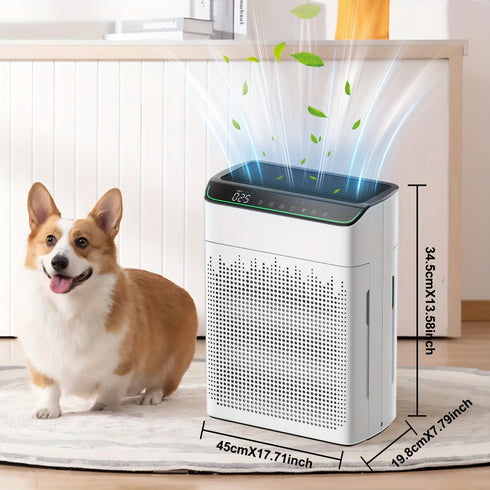 Luftreiniger mit HEPA-Filter | Leise 99% Filterleistung 3 Timer-Modi