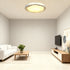 Sorenna LED RGB Deckenleuchte Dimmbar IP44 | Shiraki
