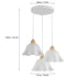 Astrid Acryl Blumen-Kronleuchte 3 lamps E27 Metall | Shiraki