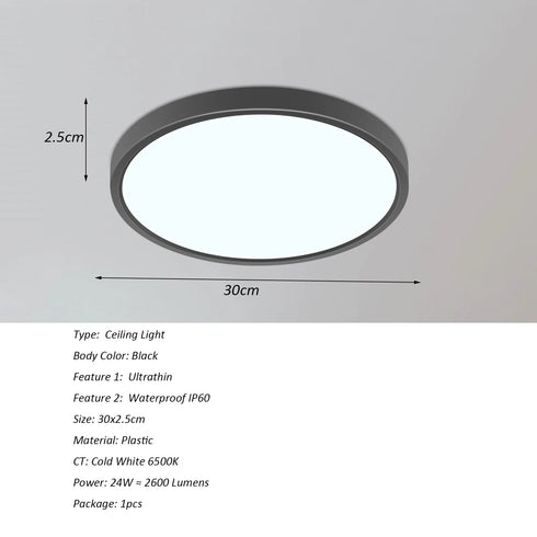 Torbjörn LED Deckenleuchte Industrial 24W Schwarz | Shiraki