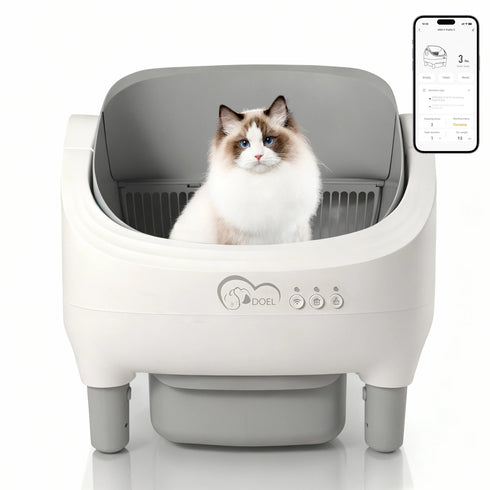 Automatische Katzenbox mit offenem Deckel | FeliSauber