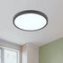Torbjörn LED Deckenleuchte Industrial 24W Schwarz | Shiraki