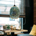 Frieda 3D Glas-Pendelleuchte Feuerwerksdesign | Shiraki