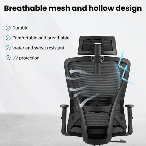 Carlo Ergonomischer drehbarer Bürostuhl – Netz- und verstellbare Lendenwirbelstütze