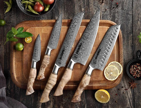 Shiraki Hochwertiges Damast Messerset