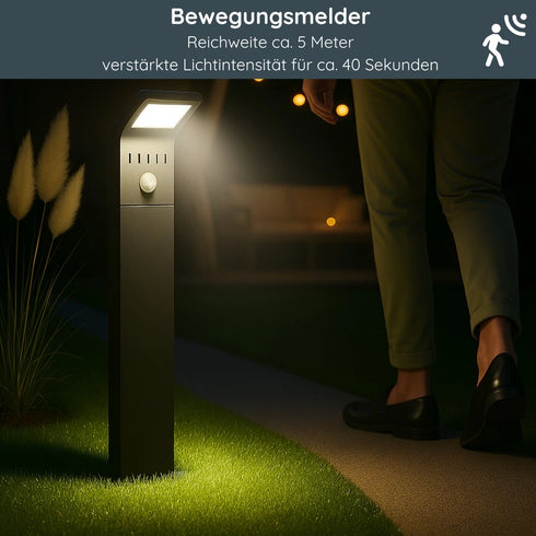 Seraphine Solar Gartenleuchte | LED Solarleuchte mit Bewegungsmelder | Shiraki