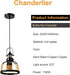 Marie Pendelleuchte Modern Industrie E27 60W Minimalistisch | Shiraki