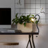 Liesel LED Klemmleuchte Tischlampe | Shiraki