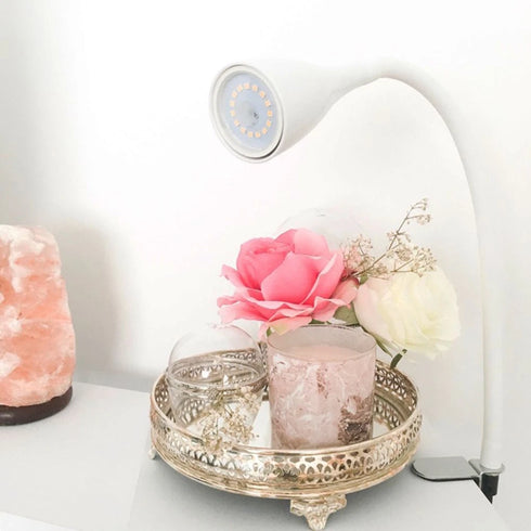 Elodie LED Klemmleuchte Tischlampe | Shiraki
