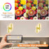 Emilia LED Wandleuchte 32W 46cm Warmweiß | Shiraki