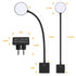 Amelie LED Wandleuchte mit Stecker Dimmbar Steckdosenleuchte | Shiraki