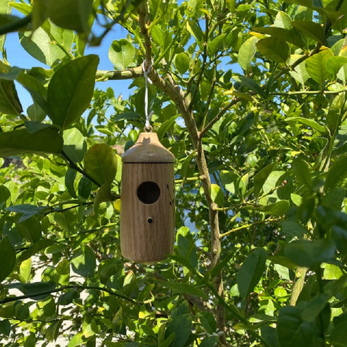 Kolibri-Holzhaus - Geschenk für Naturliebhaber