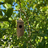 Kolibri-Holzhaus - Geschenk für Naturliebhaber