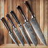 10stk Japanische Küchenmesser Set - Premium Damast Messerset