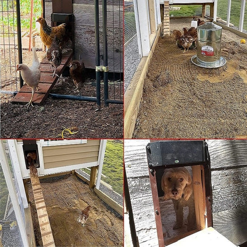 Automatischer Hühnerstall Türöffner – Hühnerstall mit Lichtsensor