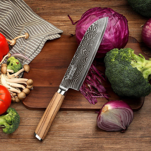 Takashi- Koshaki Japanische Damast Messerset