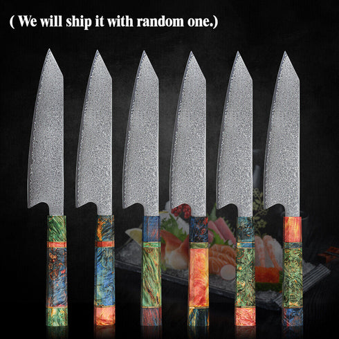 Takeshi-Damast Kochmesser - Japanische Damast Koch Messer