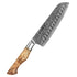 Asiatisches Messer Aus Damaststahl - Hideaki Japanische Premium Damast Messerset. Santoku Messer