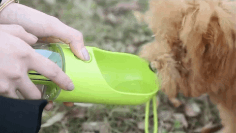 TravelBuddy : Tragbare Hundewasserflasche mit Futterbehälter - Praktische 2-in-1 Lösung für unterwegs