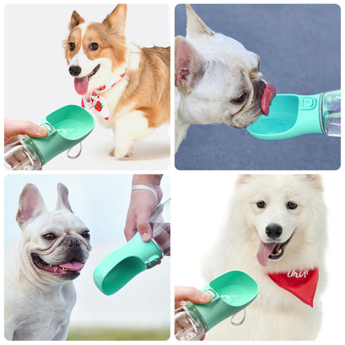 TravelBuddy : Tragbare Hundewasserflasche mit Futterbehälter - Praktische 2-in-1 Lösung für unterwegs