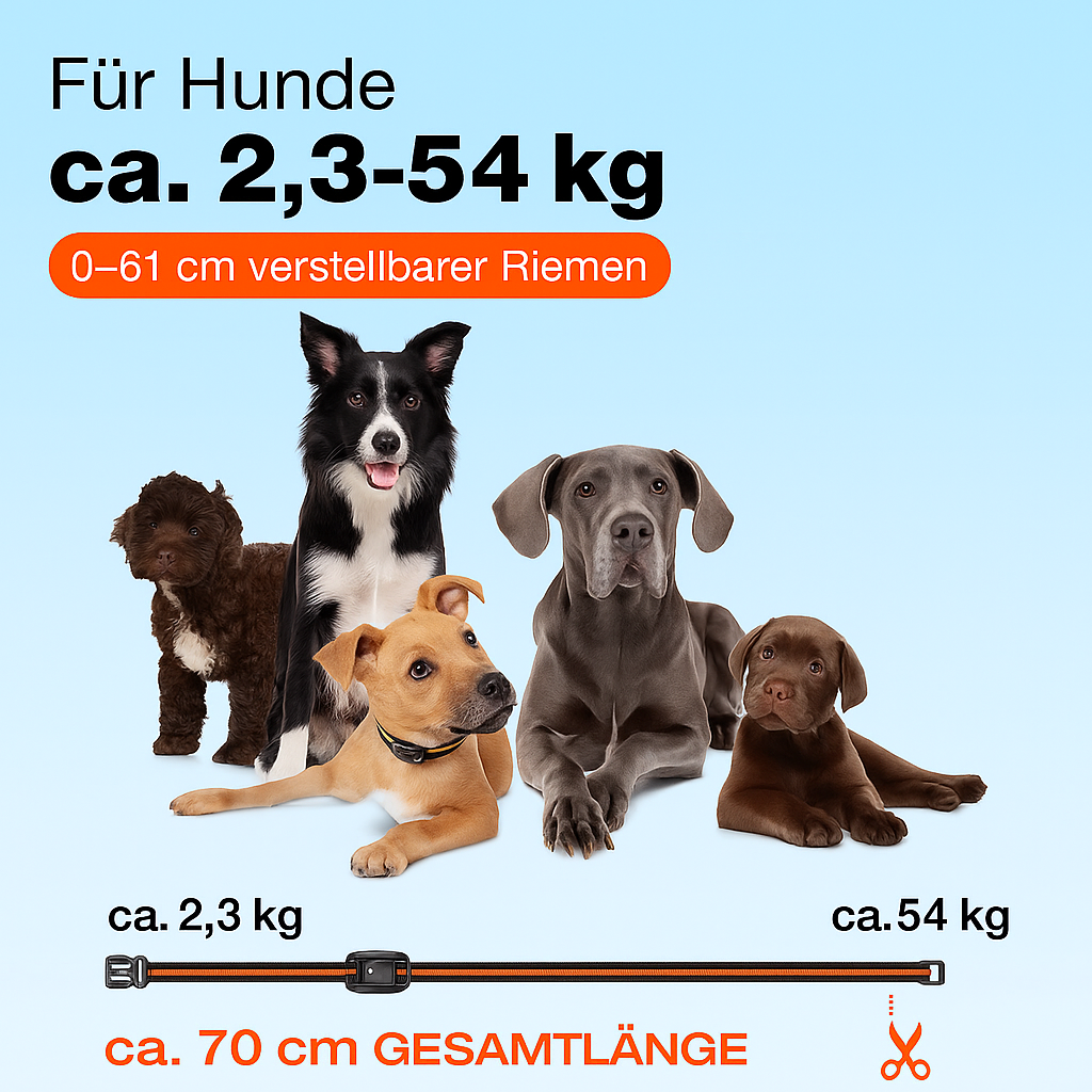 Elektrisches Hunde-Trainingshalsband mit LCD-Fernbedienung, wasserdicht & wiederaufladbar
