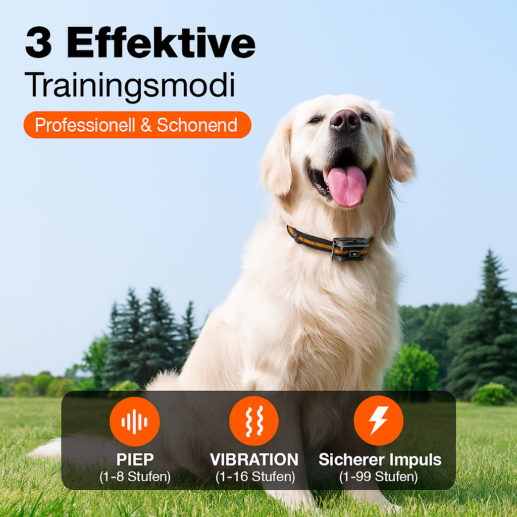 Elektrisches Hundehalsband, wasserdicht, wiederaufladbar, mit LCD-Bildschirm Hundeausbildungskragen mit Fernbedienung und LCD-Anzeige – geeignet für jeden Hund
