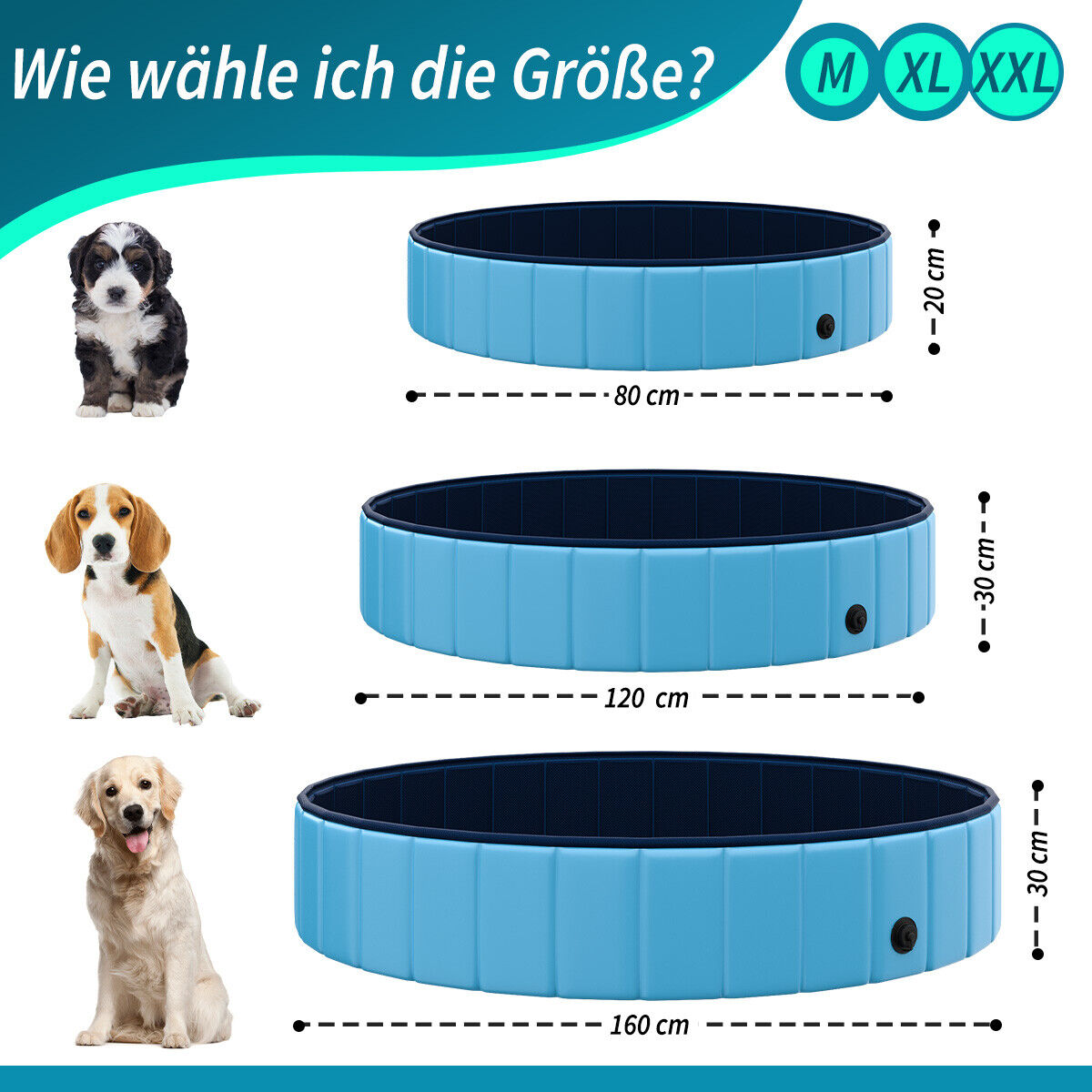 Pfotenparadies - Faltbarer Hundepool für Zuhause - Erfrischung und Spaß für Ihren Vierbeiner