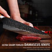 Yourichi - Hasuko Japanische Damast Koch Messer