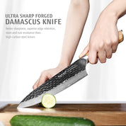 Yourichi - Hasuko Japanische Damast Koch Messer